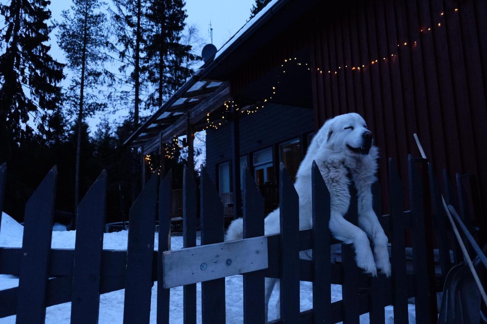 Laplandbike Apartment Arctic Circle 로바니에미 외부 사진